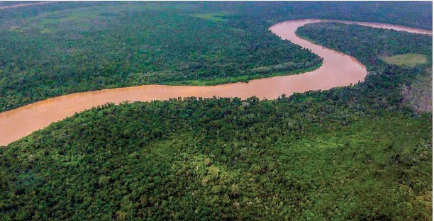 Katingan Peatland Conservation